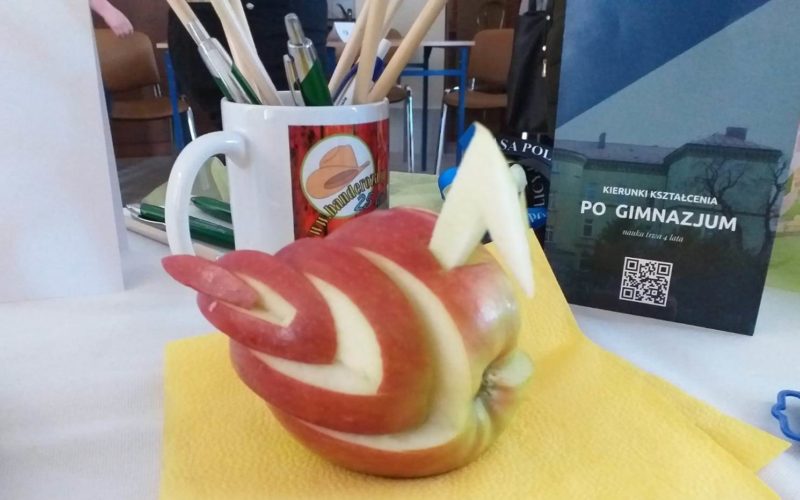 Ekonomik na targach edukacyjnych w Skoroszycach