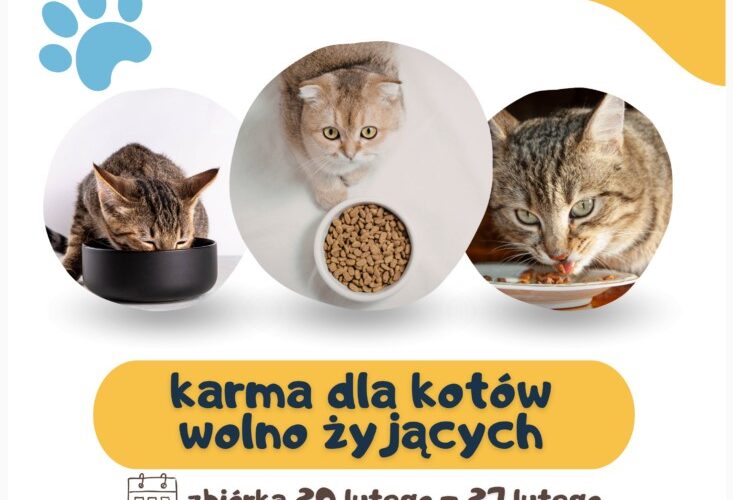 Pomóżmy kotom wolno żyjącym!